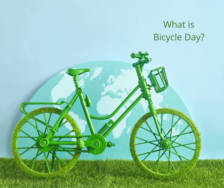 What is Bicycle Day?