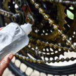 how-to-lube-a-bicycle-chain.png