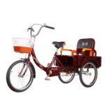 20 Adult Trike - Adjustable Handlebars & Shopping Basket: In-depth Review!