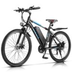 Vivi Electric Bike for Adults: 500W Ebike Review