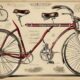 exploring the evolution of bicycles
