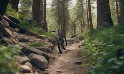 affordable adventure bicycles under 500