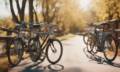 beginner bicycles for adults