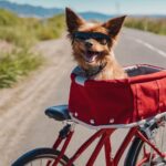 bicycle dog carriers reviewed