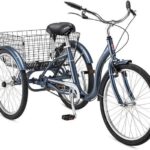 review of schwinn tricycle