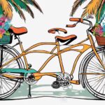 top bicycles for florida