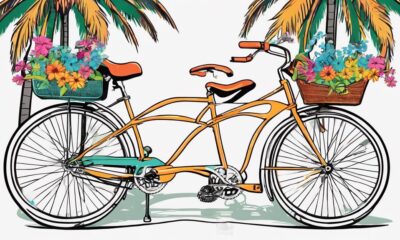 top bicycles for florida