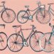 top bicycles for women