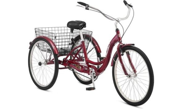 tricycle bike review details