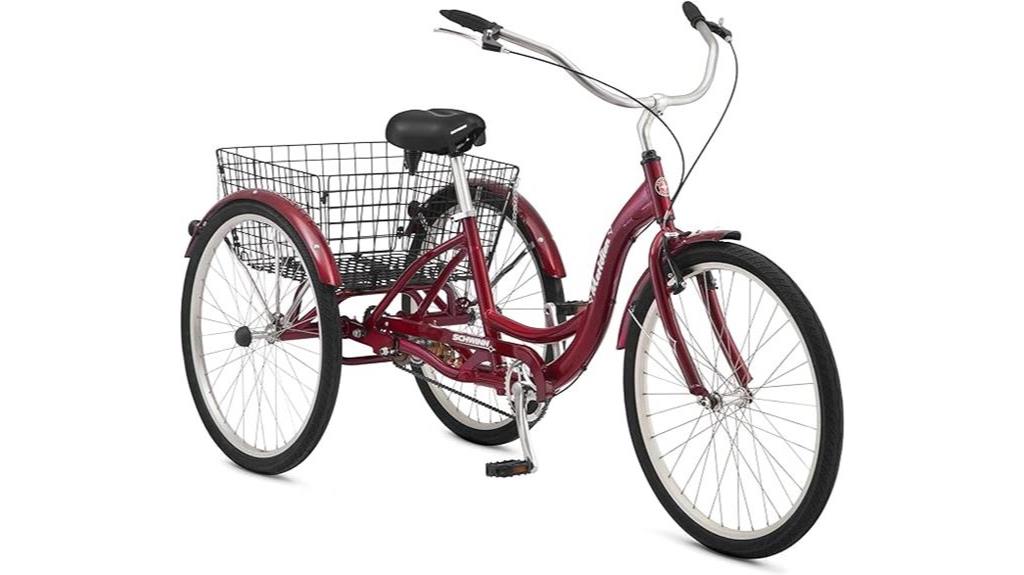 tricycle bike review details