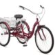 tricycle review schwinn meridian