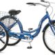 trusted review of tricycle