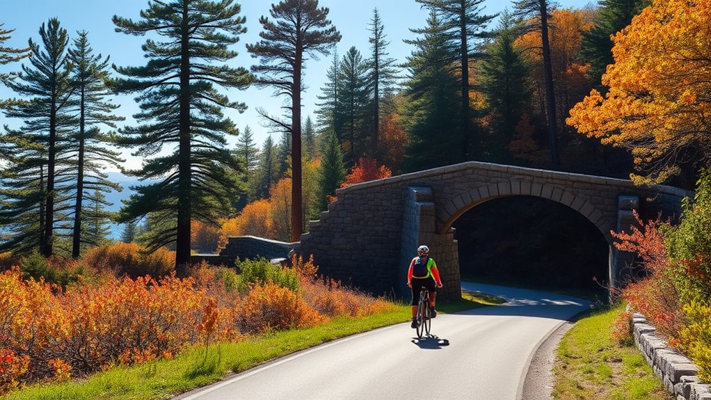 carriage roads historical significance
