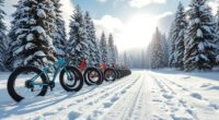 fat tire bikes winter