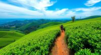tea trails in sri lanka