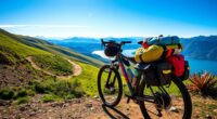top bikepacking pannier recommendations