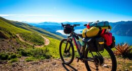 top bikepacking pannier recommendations