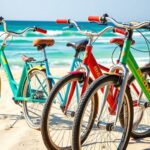 beach cruisers versus others
