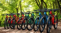 affordable mountain bike options