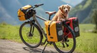 dog bike pannier options
