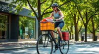 secure balanced grocery transport
