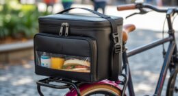 top bike cooler bags