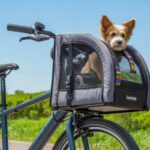 top bike pet carriers