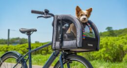 top bike pet carriers
