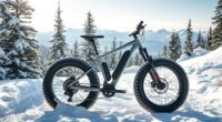 winter snow fat tire bikes