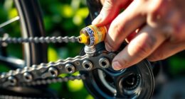 chain maintenance comparison