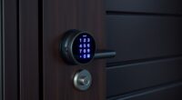luxury smart door locks