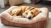 top orthopedic dog pillows