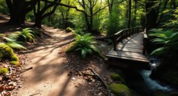 route planning for surfaces