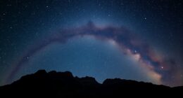 top wide field milky way lenses
