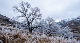 restoring range after cold