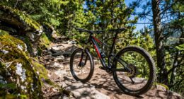 top 13 29 inch mountain bikes