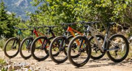 top beginner mountain bikes