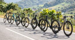 top endurance road bikes