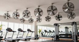 top fans for gym cooling