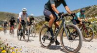 top gravel bike picks