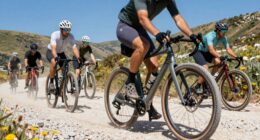 top gravel bike picks