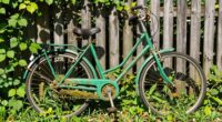 existing bike is eco friendly