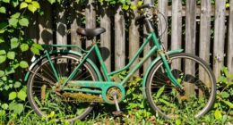 existing bike is eco friendly