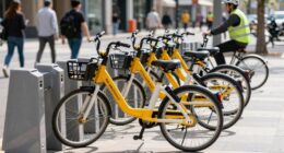 shared tools minimize waste