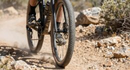 tire clearance and geometry