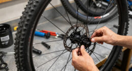 12 Best Trail MTB Wheelsets in 2026