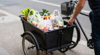 7 Best Bike Trailers for Groceries in 2026