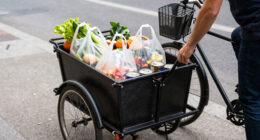 7 Best Bike Trailers for Groceries in 2026