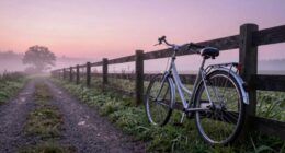keep cycling every day