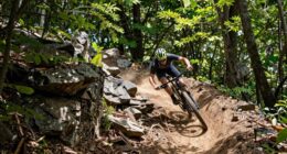 trail feature improves bike skills